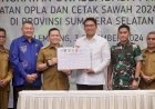 Sumsel Perkuat Swasembada Pangan dengan Cetak Sawah dan Optimalisasi Lahan Rawa