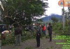 Angin Kencang Tumbangkan Pohon di Pagar Alam, BPBD Lakukan Pemangkasan Darurat 