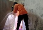 Musim Hujan, Warga Lubuklinggau Diteror Kemunculan Ular