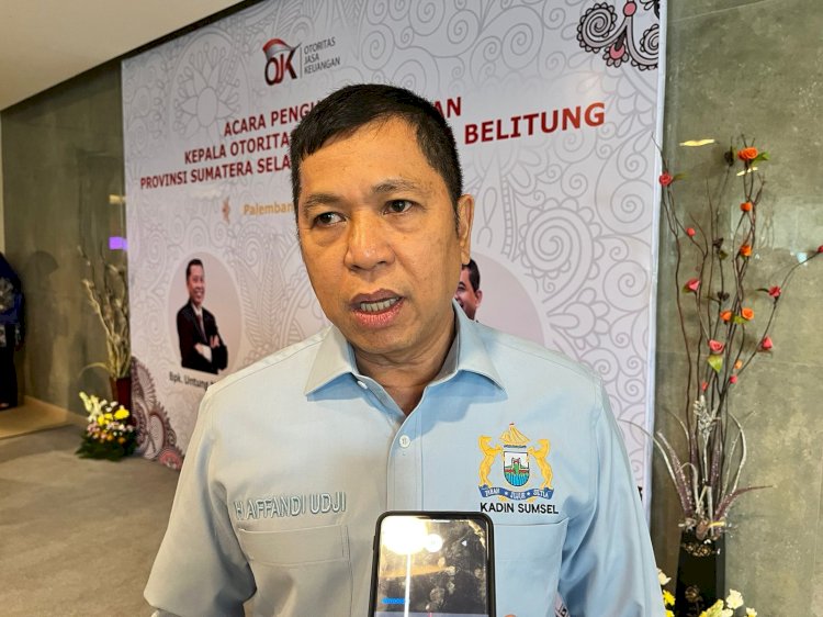 Ketua Kadin Sumsel, Affandi Udji. (Handout)