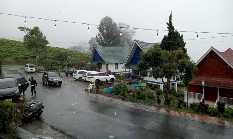 Suasana Villa Besemah di kawasan Kebun Teh Pagar Alam/Foto: Taufik