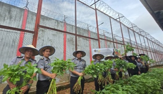 embaga Pemasyarakatan (Lapas) Kelas IIB Muara Enim melaksanakan kegiatan panen raya dan Pemberian Bantuan Sosial (Bansos) kepada Warga Binaan. (Humas Lapas II B Muara Enim/rmolsumsel.id)