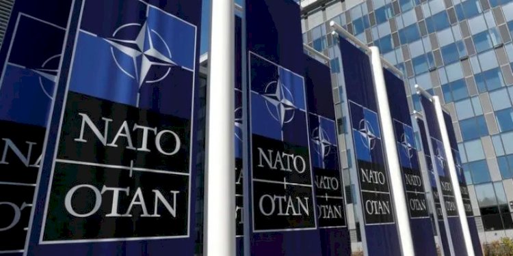 NATO/Net