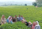 Objek Wisata Kebun Teh Gunung Dempo Jadi Primadona Pelancong saat Liburan ke Pagar Alam