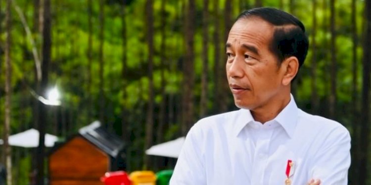 Presiden ke-7 RI Joko Widodo/Ist