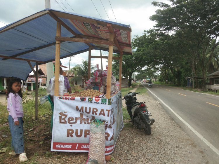 Penjual buah duku di ruas Jalinsumteng Muratara. (alam/rmolsumsel.id) 
