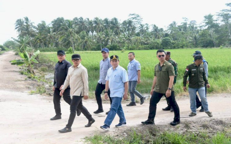 Wamendagri tinjau saluran irigasi pertanian di Kawasan Tanjung Lago Banyuasin/ist