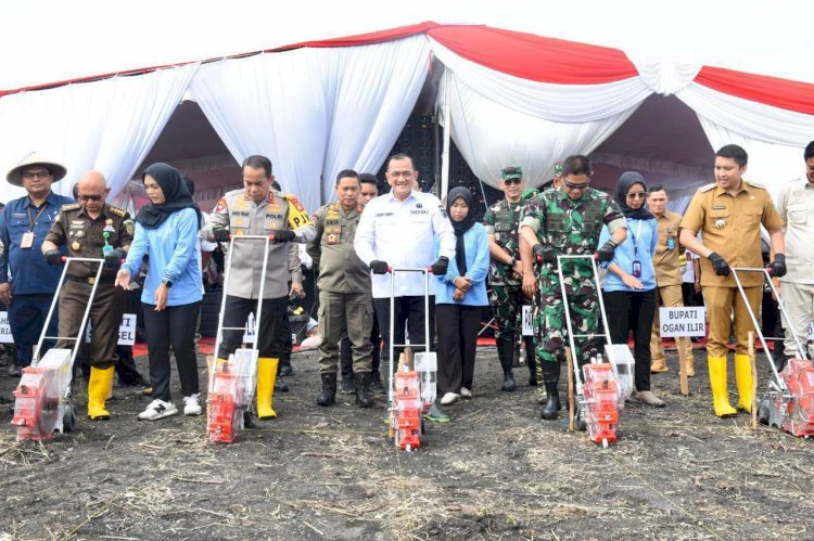Sekretaris Daerah (Sekda) Provinsi Sumatera Selatan Edward Candra turut ambil bagian dalam program penanaman jagung serentak seluas satu juta hektar. Program ini digagas oleh jajaran Kepolisian Daerah (Polda) Sumsel sebagai bagian dari upaya mendukung swasembada pangan tahun 2025. (Humas Pemprov Sumsel)