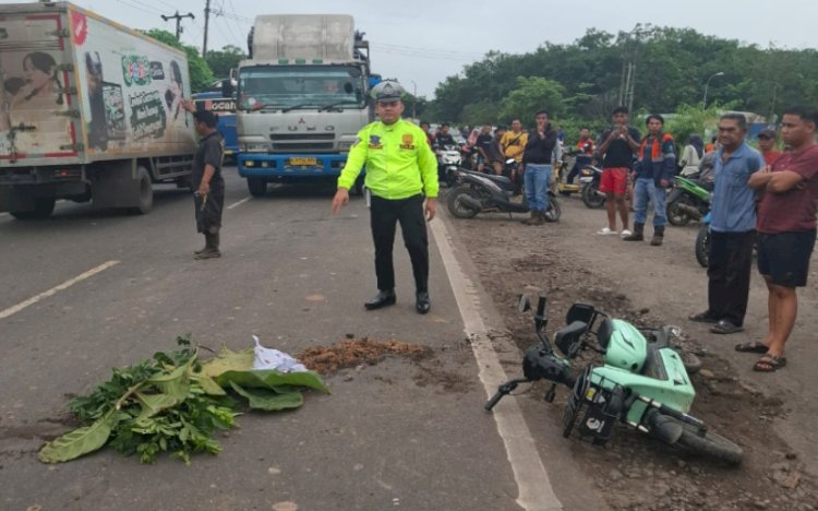 Pengendara sepeda listrik meninggal dunia setelah ditabrak dan terlindas truk tronton Hino/ist