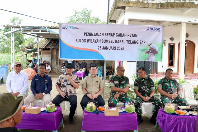 Pj Gubernur Sumsel Elen Setiadi, saat meninjau program serap gabah di Desa Telang Sari, Kecamatan Tanjung Lago, Kabupaten Banyuasin/Humas pemprov