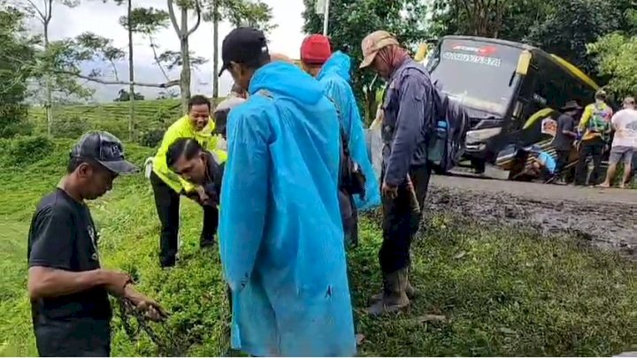 Satu unit bus pariwisata yang mengangkut rombongan wisatawan asal Palembang terperosok di areal Afdeling I Talang Darat, jalur wisata kebun teh Gunung Dempo, Pagar Alam, Senin (27/01). (Dokumen Satlantas Polres Pagar Alam)
