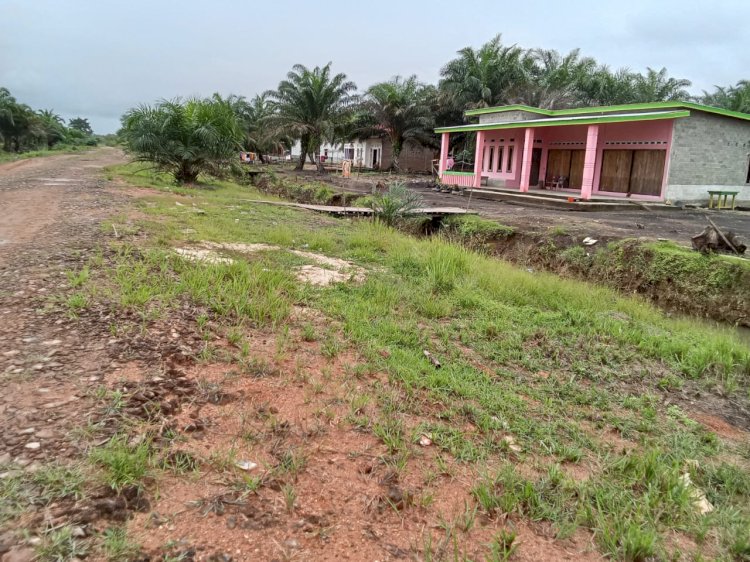 Kondisi dusun Translok di Desa Pauh-Pauh I, Kecamatan Rawas Ilir, Muratara. (alam/rmolsumsel.id) 