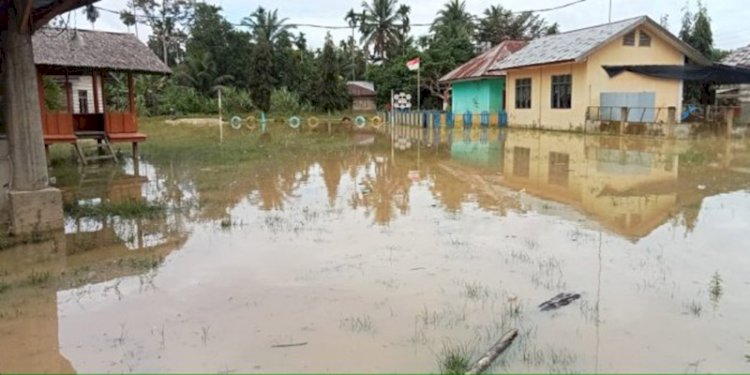 Kondisi banjir di salah satu Gampong di Aceh Timur/Dok BPBD Aceh Timur