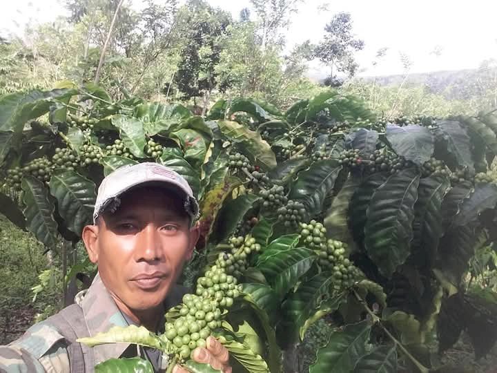 Peri Partriansyah (51), salah seorang petani kopi di kota Pagar Alam . (Dokumentasi Pribadi)