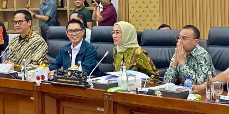Ketua Komisi VI DPR RI Anggia Erma Rini (tengah)/RMOL