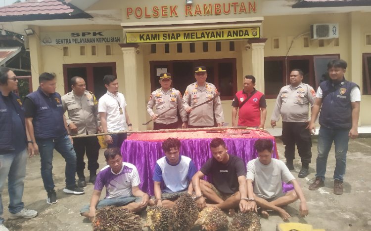 Empat komplotan pencuri tandan buah segar (TBS) kelapa sawit yang meresahkan warga seputaran Kecamatan Rambutan, Kabupaten Banyuasin, Sumsel berhasil diringkus/ist