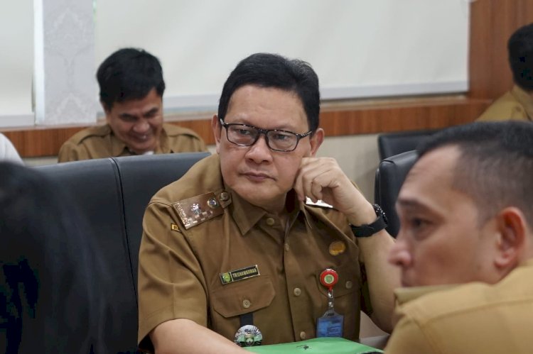 Kepala Dinas Kesehatan Sumsel, Trisnawarman/ist