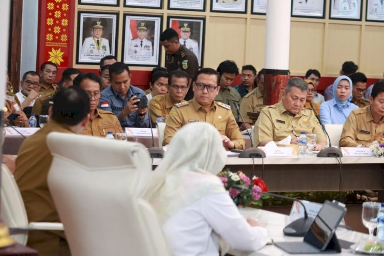Pj Bupati Banyuasin, M Farid. (ist/rmolsumsel.id) 