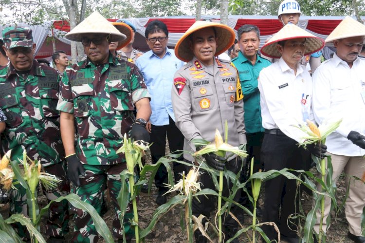 Kapolda Sumsel, Irjen Pol Andi Rian R Djajadi saat kegiatan panen raya. (ist/rmolsumsel.id) 