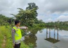 Waspada Serangan Buaya, Ini Imbauan Kapolsek Purwodadi