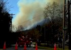 Hutan di Carolina Utara dan Selatan Terbakar, Picu Evakuasi Massal