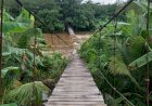 Warga Terisolasi, Jembatan Gantung di OKU Timur Ambruk Diterjang Banjir