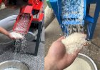 DPRD Sumsel Soroti Lemahnya Penyerapan Gabah Lokal, Dorong Bulog Bangun Rice Milling