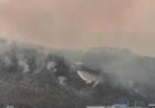 Kebakaran Hutan Landa Korea Selatan, Empat Tewas Ratusan Mengungsi
