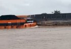 Dua Tongkang Batu Bara Kembali Tabrakan di Sungai Musi, KSOP Sebut Arus Deras Jadi Pemicu