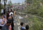 Dua Jemaah Salat Id Meninggal Dunia Tertimpa Pohon Tumbang