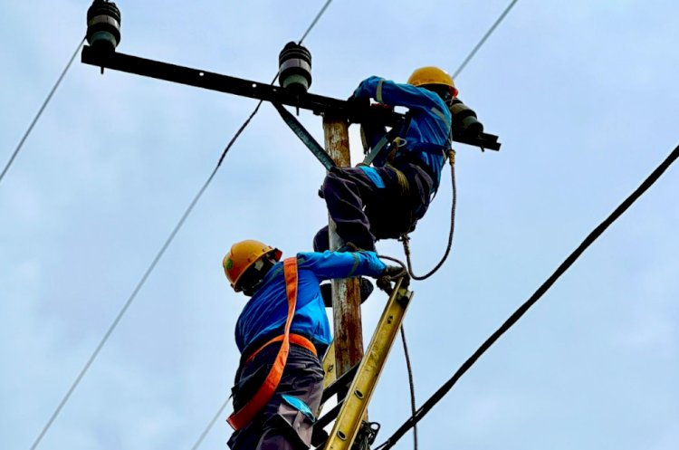 Petugas PLN melakukan perbaikan jaringan/ist