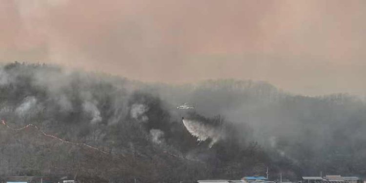 Sebuah helikopter mencoba memadamkan api setelah kebakaran hutan terjadi di wilayah tenggara Uiseong pada Sabtu, 22 Mar 2025/Net