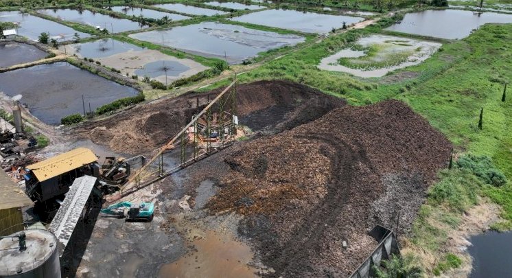 Tumpukan tandan kosong (tankos) di lokasi pabrik PT Golden Oilindo Nusantara/dokumen