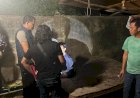 Mayat di Lahan Kosong Lubuklinggau, Polisi Tangkap Enam Tersangka Termasuk Otak Pelaku di Palembang