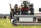 Ikut Panen Raya Serentak, Bupati OKU Timur Terima Kasih ke Presiden atas Kebijakan Naikan Harga Gabah 