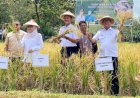Bupati PALI Beri ‘PR’ Dinas Pertanian, Tingkatkan Produktivitas Sawah Jadi Tiga Kali Panen
