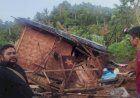 Tujuh Rumah di Lampung Rusak Diamuk Kawanan Gajah