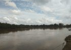 Aksi Setrum Ikan di Sungai Rawas Kian Brutal, Warga Muratara Desak Pemkab Bertindak