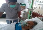 Warisan Abadi Kgs Harun Rosidi Kamil, Membangun Fondasi Seni Rupa Sumsel