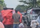 Viral Bajing Loncat Gasak Sekarung Bawang Putih, Polisi Sebut Pelaku Sudah Diamankan
