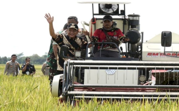 Bupati OKU Timur saat panen raya di OKU Timur/ist