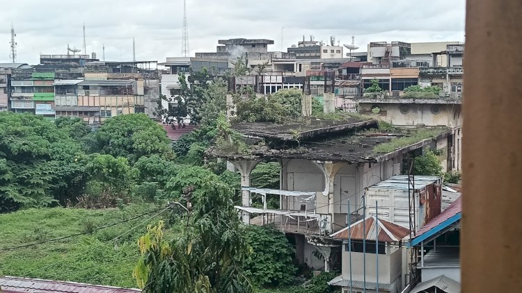 Kondisi Pasar Cinde Palembang dipenuhi dengan semak belukar. (denny pratama/rmolsumsel.id) 