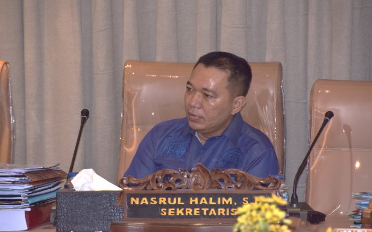 Anggota DPRD Sumsel, Nasrul Halim. (ist/rmolsumsel.id)