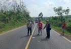 Nahas! Usai Tabrak Avanza, Pengendara Motor di Muara Enim Tewas Dilindas Mobil dari Arah Berlawanan
