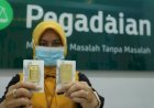 Penjualan Emas di Pegadaian Sumbagsel Melejit, Tembus 400 Kg di Tengah Harga Tinggi