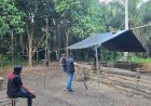 Arena Judi Sabung Ayam di Musi Rawas Dibongkar, Identitas Bandar Dikantongi Polisi