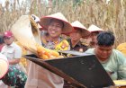 Polres Musi Rawas Panen Jagung 20 Ton, Dukung Program Swasembada Pangan Nasional