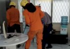 Damkar Lubuklinggau Tangani 10 Kasus Ular Masuk Rumah Sepanjang Mei, Warga Diimbau Waspada 
