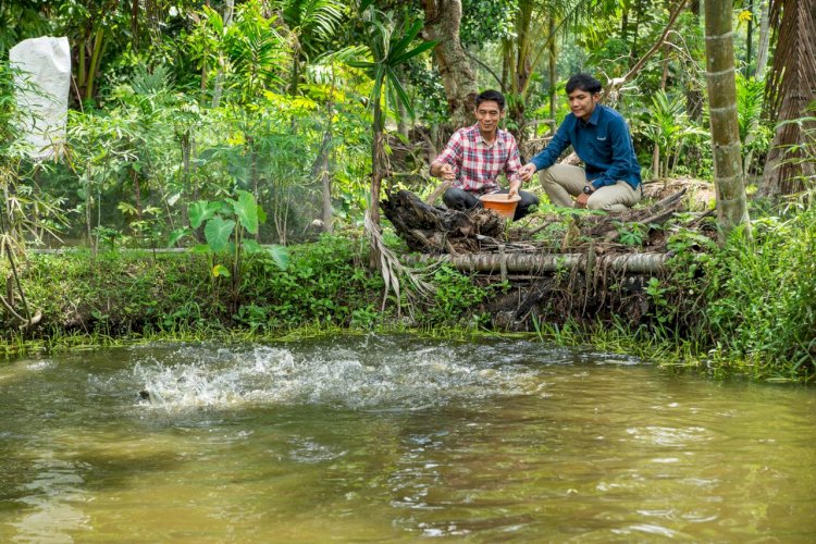 Budidaya ikan kini menjadi aktivitas sehari-hari Putra Zaman, warga Desa Tanjung Agung, Muara Enim/ist