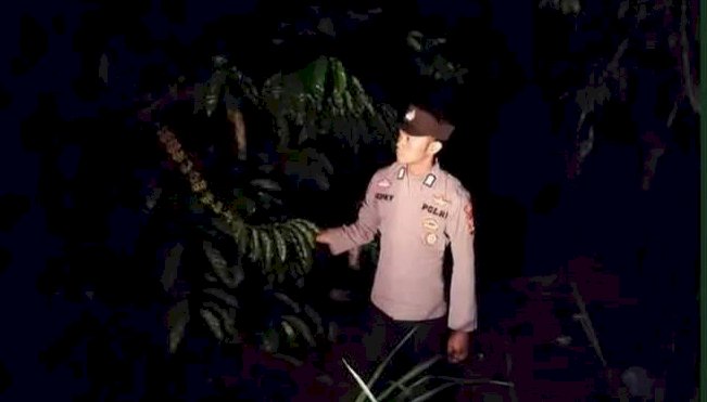 Personel Polres Pagar Alam menyambangi kebun kopi/ist